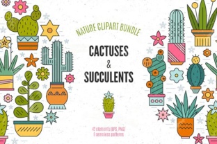 Succulent Clipart Patterns Bundle: A Practical Guide for Designers and DIY Creators
