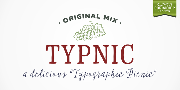 Typnic Family: A Hand-Drawn Typeface System Built for Real Creative Work